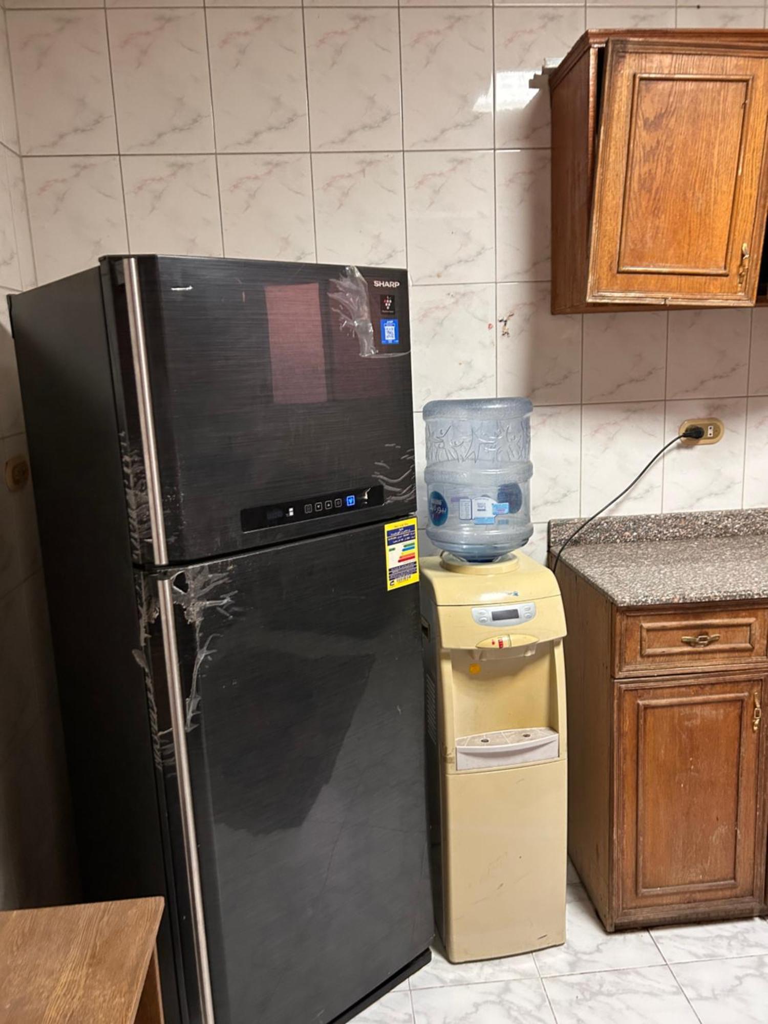 Ezzat Salama Abbas Al Akkad Apartment Cairo